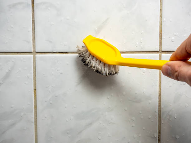 Best Mold Damage Repair  in Wallburg, NC