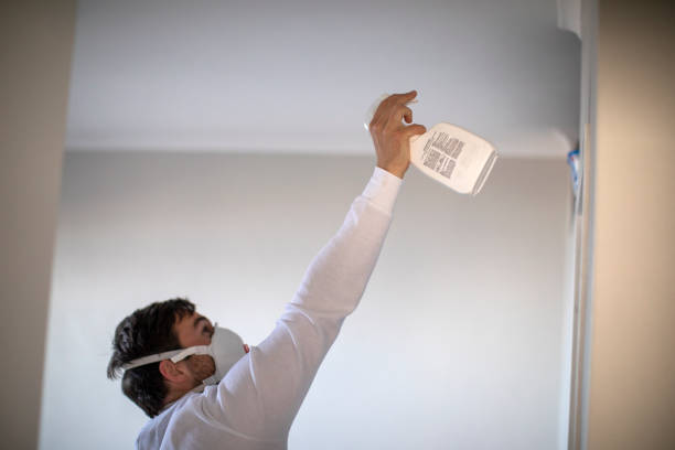 Best Residential Mold Removal  in Wallburg, NC