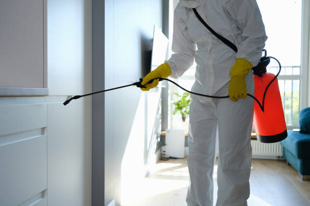 Best Mold Removal and Inspection  in Wallburg, NC