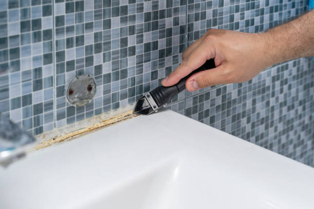 Best Affordable Mold Removal  in Wallburg, NC